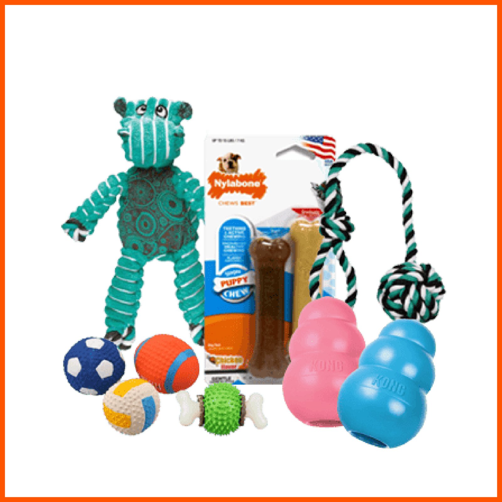 Pet Toys